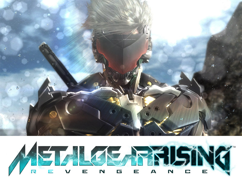 Metal Gear Rising Revengeance: you can sell limbs for upgrades