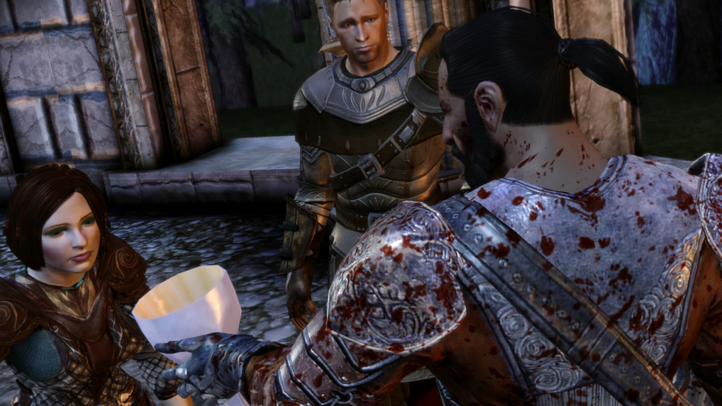 Dragon Age: Origins Wynne comments on Leliana romance #1 