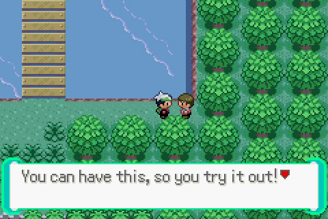 Pokemon Emerald Kaizo - Everything caught pre-Roxanne, time for