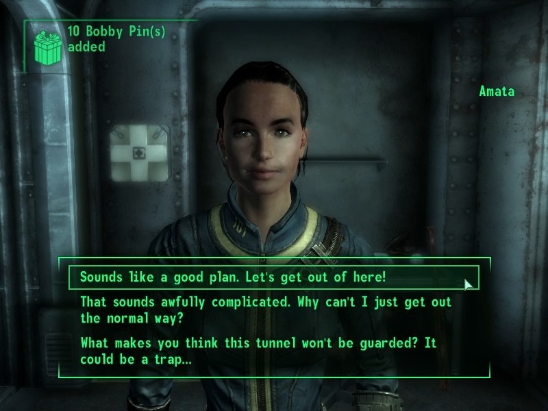 Fallout 3-A Post-Nuclear Inventory Management Sim (gone wrong