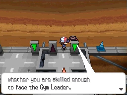 B2W2's Gym Leaders Confirmed 