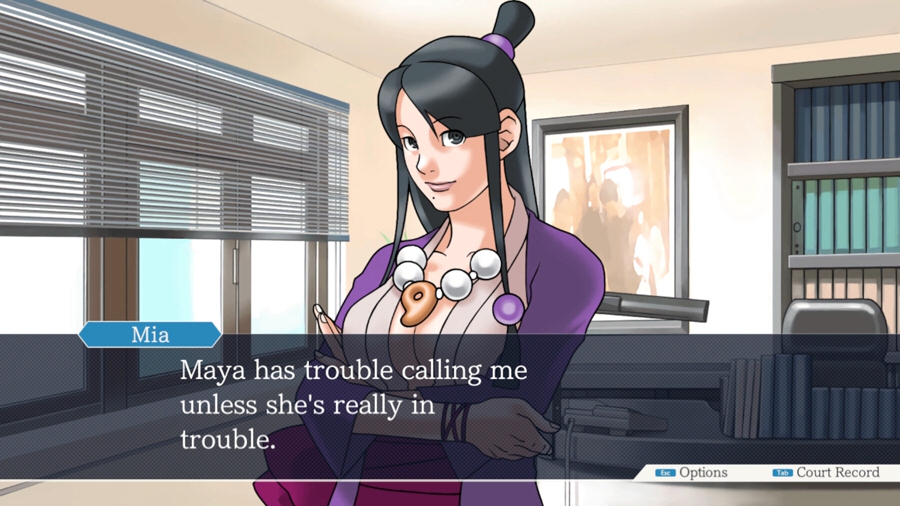 Characters/Ace Attorney - Television Tropes & Idioms