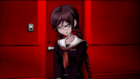 013-fukawa.png